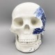 Totenkopf, Schädel, Skull