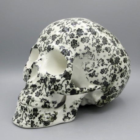 Totenkopf, Schädel, Skull