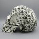 Totenkopf, Schädel, Skull