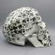 Totenkopf, Schädel, Skull